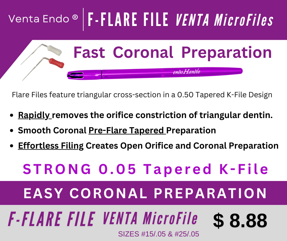 F - Flare File